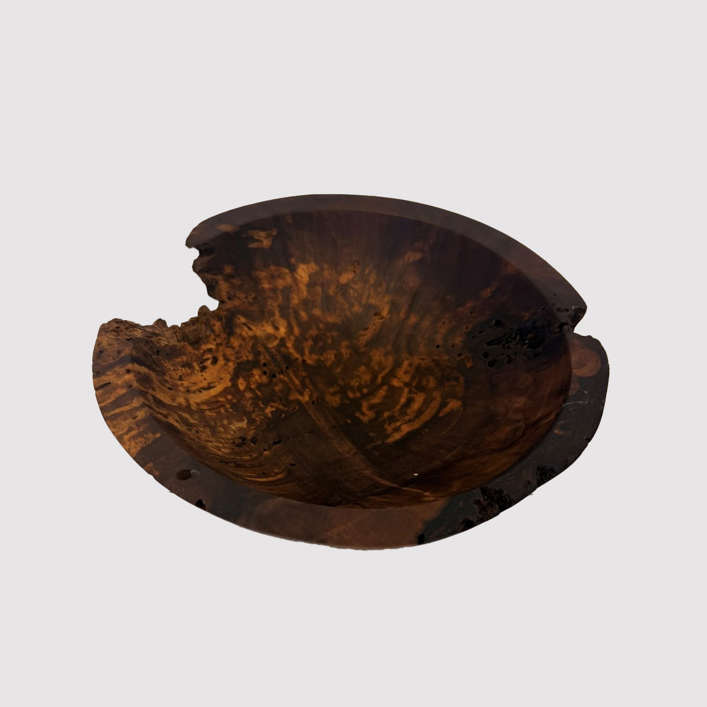 Walnut Burl Collection — No. 1