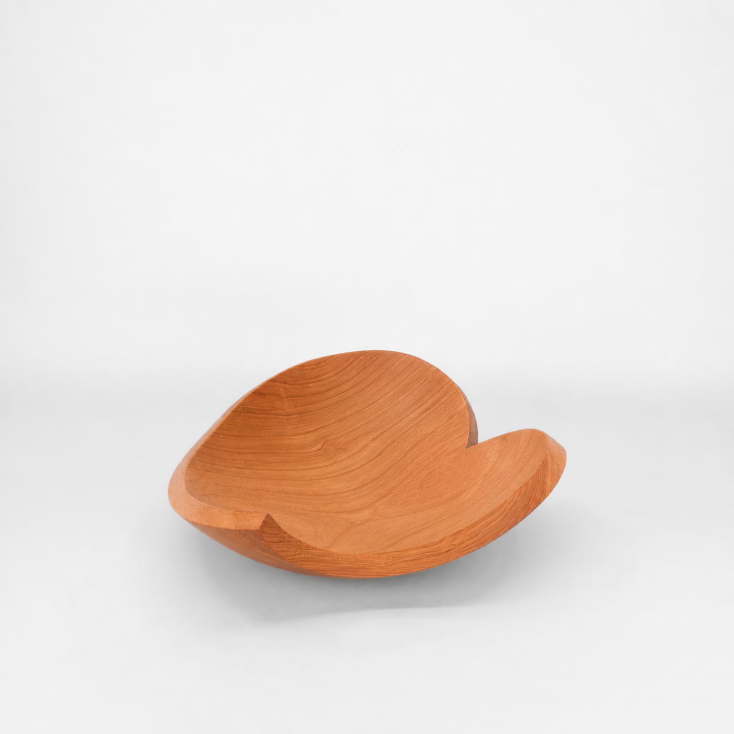 Wooden bowl with wavy texture on a white background