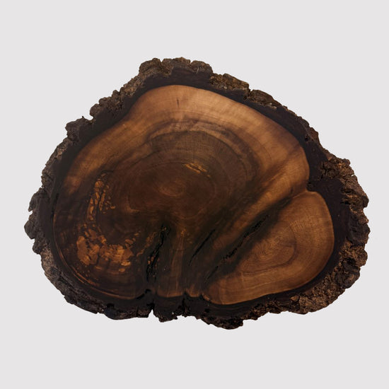 Walnut Burl Collection — No. 4