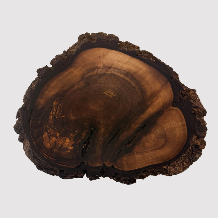 Walnut Burl Collection — No. 4